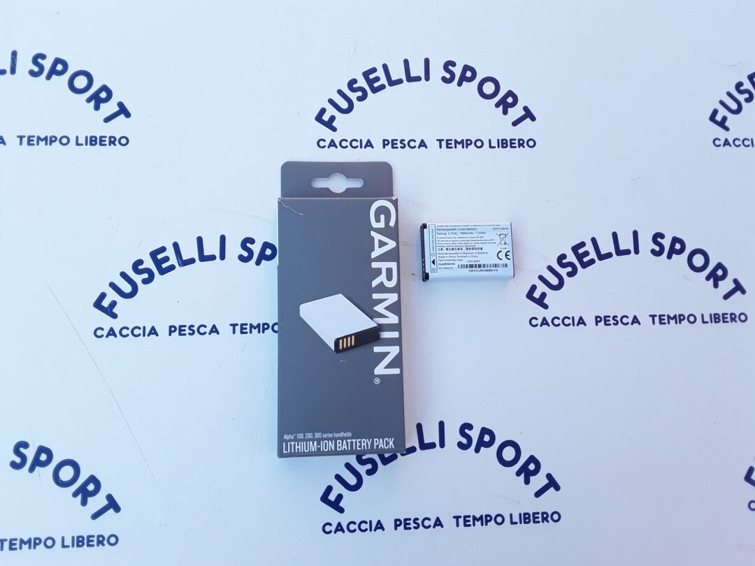 Garmin batteria palmare